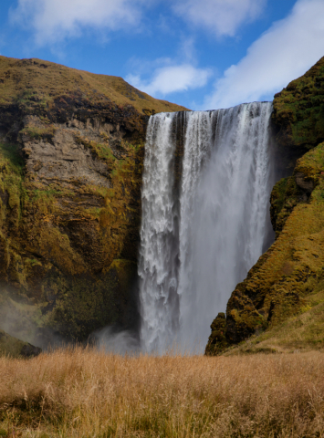 skogafoss grass11